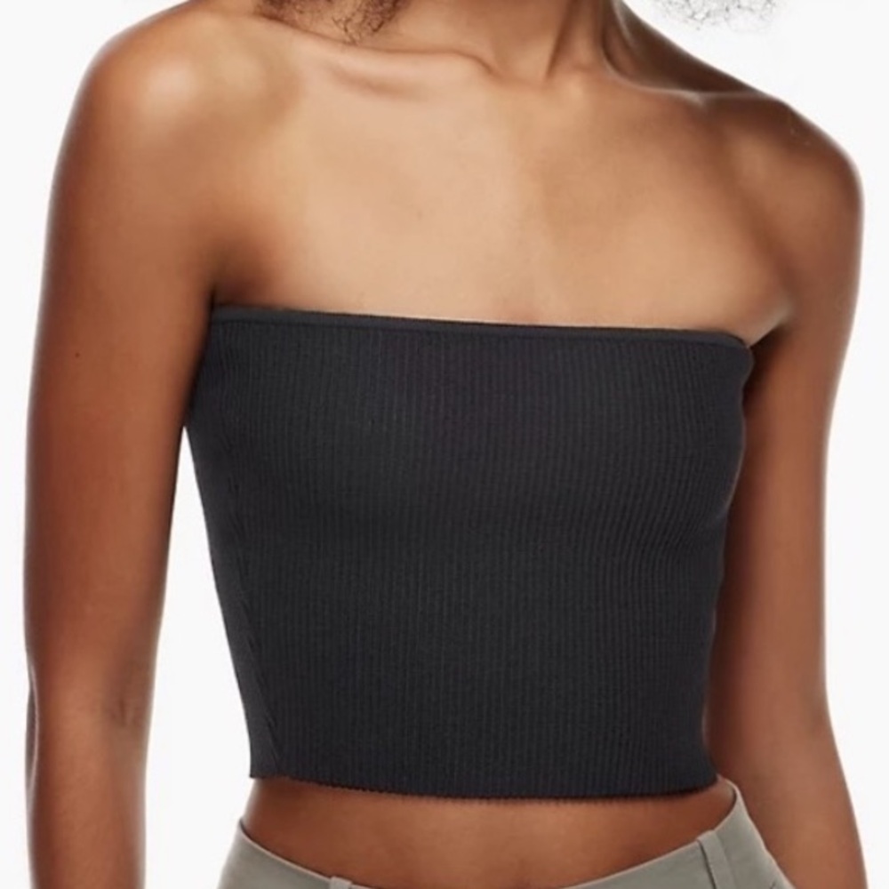 Aritzia Babaton Scult Knit Tube Crop Top